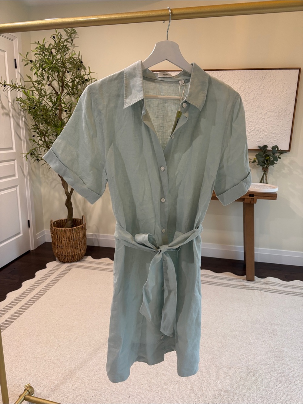 Aritzia Light Sage Button-Front Mini Dress with Tie Waist
